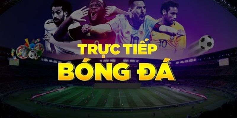 Socolive - Điểm Đến Theo Dõi Thể Thao Chất Lượng Cao 77bet